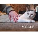 Photo of Molly