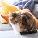 Photo of Molly