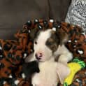 Photo of Ben