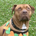 Photo of Lilly