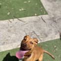 Photo of Sandy
