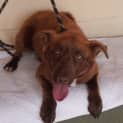 Photo of Clifford