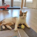 Photo of Penny 
