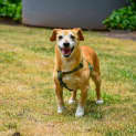 Photo of Dash Hadley