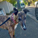 Photo of Lena