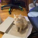 Photo of Hamish π