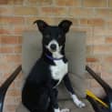 Photo of Sasha