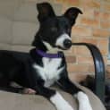 Photo of Sasha