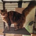 Photo of Lilly