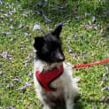 Photo of Winnie