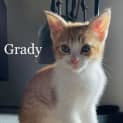 Photo of Grady