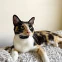 Photo of Greta
