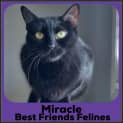 Photo of Miracle 