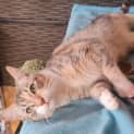 Photo of Baby