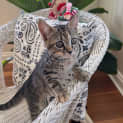 Photo of Freya