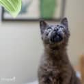 Photo of Maxxy