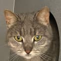 Photo of Bobo