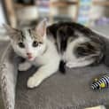 Photo of Teeter