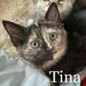 Photo of Tina