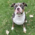 Photo of Duke
