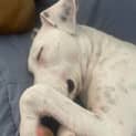 Photo of Cilla