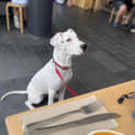 Photo of Cilla
