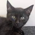 Photo of Pip Fostered In Kalgoorlie