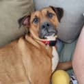 Photo of Bess