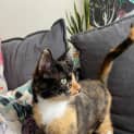 Photo of Lisette