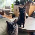 Photo of Tommy And Teddy