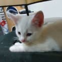 Photo of Cloud