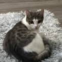 Photo of Milton
