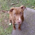 Photo of Angel