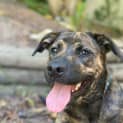 Photo of Kaia