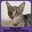 Photo of Dagmar