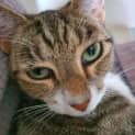 Photo of Lulu