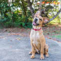 Photo of Baci