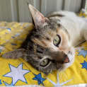 Photo of Lara