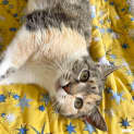 Photo of Lara