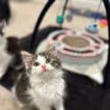 Photo of Tinkerbell