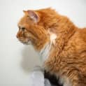 Photo of Molly