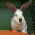 Photo of Mildred