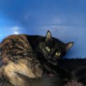Photo of π¦ Lila F02256 π¦