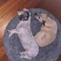 Photo of Tia & Missy