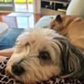 Photo of Tia & Missy
