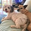 Photo of Tia & Missy