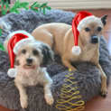 Photo of Tia & Missy