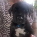 Photo of Buster