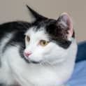 Photo of Argon