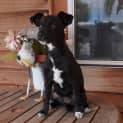 Photo of ♥♥ Candy ♥♥